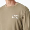 Pánske tričko longsleeve Helly Hansen Skog Graphic pebble 3