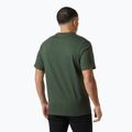 Pánske tričko Helly Hansen Box T 2.0 jungle green 2