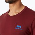 Pánske tričko Helly Hansen Nord Graphic mars red 3