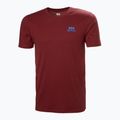Pánske tričko Helly Hansen Nord Graphic mars red 4