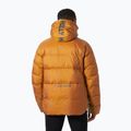 Pánska zateplená bunda Helly Hansen Active Winter mustard 2