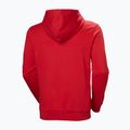 Pánska mikina Helly Hansen HH Logo Hoodie red 6