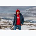 Pánska mikina Helly Hansen HH Logo Hoodie red 7
