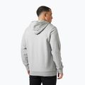 Pánska mikina Helly Hansen HH Logo Hoodie grey/melange 2