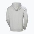 Pánska mikina Helly Hansen HH Logo Hoodie grey/melange 6