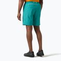 Pánske jachtárske šortky Helly Hansen Hp Sirocco 9" dark mint 2