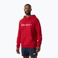 Pánska mikina Helly Hansen Core Graphic Hoodie red