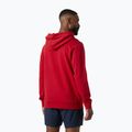 Pánska mikina Helly Hansen Core Graphic Hoodie red 2