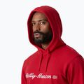 Pánska mikina Helly Hansen Core Graphic Hoodie red 3
