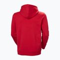 Pánska mikina Helly Hansen Core Graphic Hoodie red 6