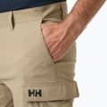 Pánske jachtárske šortky Helly Hansen QD Cargo 11" pebble 3