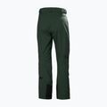 Pánske lyžiarske nohavice Helly Hansen Legendary Insulated dark jungle 2