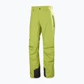 Pánske lyžiarske nohavice Helly Hansen Legendary Insulated pulse green