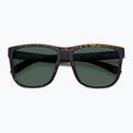 Pánske slnečné okuliare Polaroid PLD 2155/S matte brown havana/green polarized 4