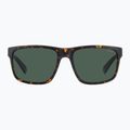 Pánske slnečné okuliare Polaroid PLD 2157/S matte brown havana/green polarized 3