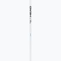 Lyžiarske palice HEAD Worldcup Rebels Carbon white 2