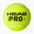 HEAD Padel Pro+ padelové loptičky 3 ks. žlté 3