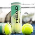 HEAD Padel One S padelové loptičky 3 ks. žltá 2