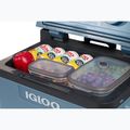 Termoelektrická turistická chladnička Igloo IE42 ACDC 42 l ice blue 12