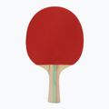 Pálka na stolný tenis STIGA Blaze 1-Star
