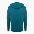 Pánska trekingová mikina Fjällräven Logo Hoodie deep sea 2
