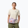 Ľadvinka Fjällräven Kanken 4 l pastel lavender 4
