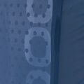 Bezpečnostná vesta POC Spine VPD Air Vest cubane blue 5
