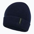 Detská zimná čiapka Didriksons Buz Beanie navy