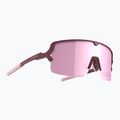 Slnečné okuliare Tripoint 008 Lake Prespa matt burgundy/brown/pink multi