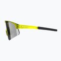 Slnečné okuliare Tripoint 005 Lake Victoria transparent neon yellow/smoke 5