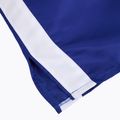 Pánske boxerkové šortky Cleto Reyes Satin Boxing blue/white 4