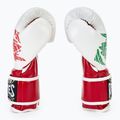 Boxerské rukavice Cleto Reyes Velcro Sparring red/white green red 4