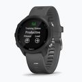 Hodinky Garmin Forerunner 245 sivé 010-02120-10