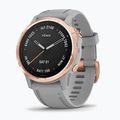 Hodinky Garmin Fenix 6S Sapphire silver 010-02159-21