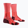 Pánske ponožky X-Socks Trailrun Perform Crew fluo red/namib red