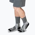 Ponožky X-Socks Run Expert Silk Merino Crew seal grey/light sand 6