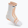 Bežecká obuv Topánky X-Bionic Terraskin X00/C x white/x black 8