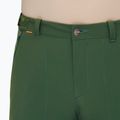 Pánske trekingové nohavice Mammut Runbold woods 5
