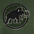 Pánska trekingová mikina Mammut ML Hoody Circle zelená 6