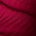 Mammut dámska treková bunda Taiss Light ML blood red/marine 10