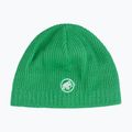Zimná čiapka Mammut Sublime pine green
