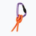 Karabína Mammut Classic HMS Screwgate screw gate/alpine calamint 2