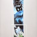 Snowboard Lib Tech Skunk Ape black-blue 21SN036 9