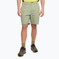 Pánske lezecké šortky The North Face Project beige NF0A5J8M3X31