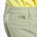 Pánske lezecké šortky The North Face Project beige NF0A5J8M3X31 6