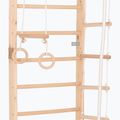 Gymnastický rebrík RINAGYM Kombi 3 11