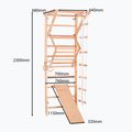 Gymnastický rebrík RINAGYM Sport 3 9