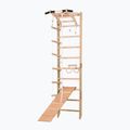 Gymnastický rebrík RINAGYM SPR A+SLIDE 2