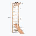 Gymnastický rebrík RINAGYM SPR A+SLIDE 3