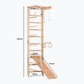 Gymnastický rebrík RINAGYM SPR B+SLIDE 10